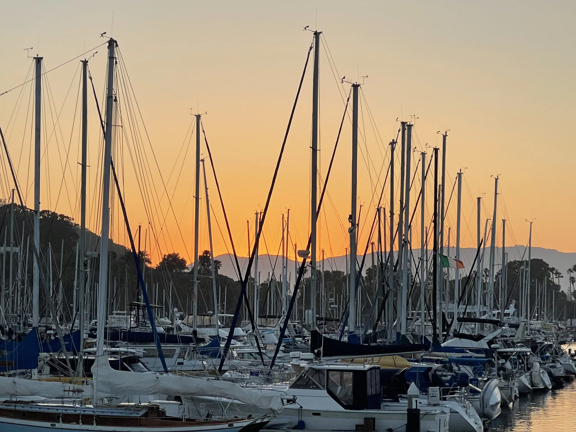 Marina settling into dusk